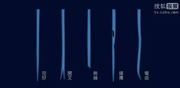 真正完好的毛，是圓潤挺拔的，一百根中隻有三五根。