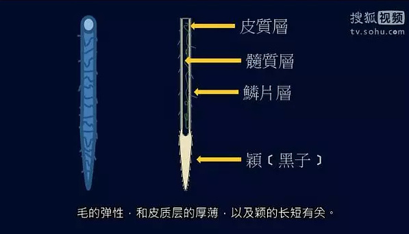 選毫，就是把毛分成不同的等級。