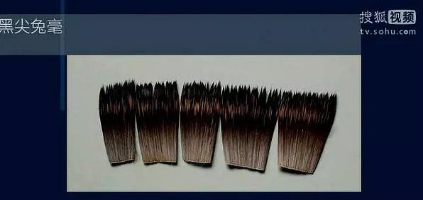 選好的兔毫，黒尖兔毫。