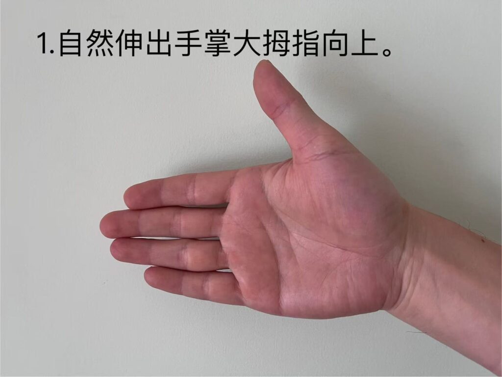 1.自然伸出手掌，大拇指向上。
