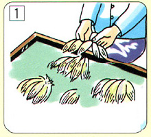 1.根據筆的種類選毛，並進行搭配。