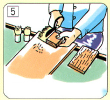 5.從頂端到下部，切成適合各個部分的長度。