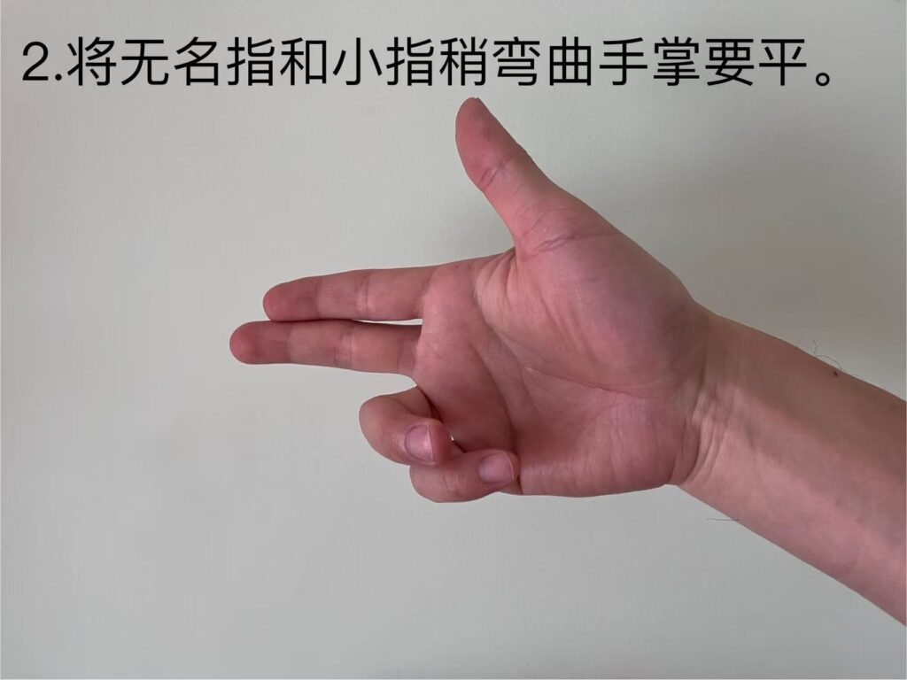 2.將無名指和小指稍微彎曲墨，手掌要平。