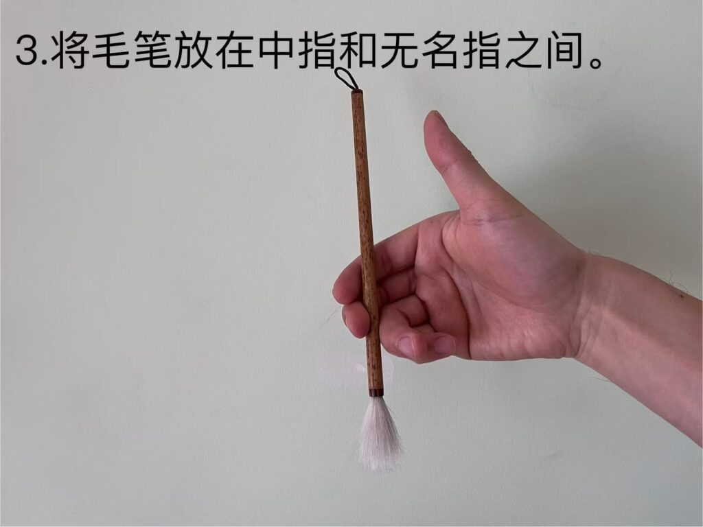 3.將毛筆放在中指和無名指之間。