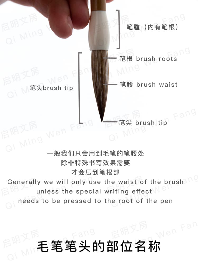 毛筆各部位名稱