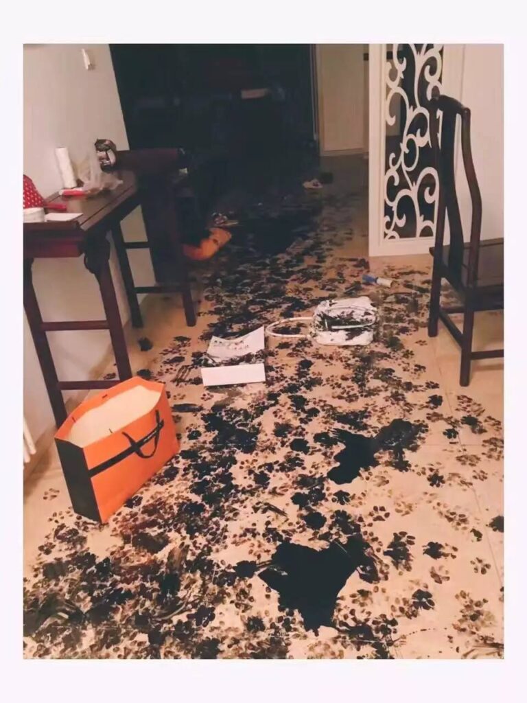 被墨汁污染的房間地板