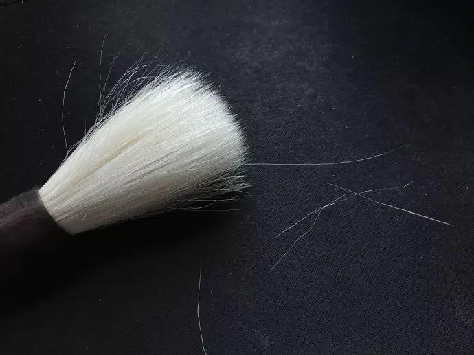 毛筆掉毛
