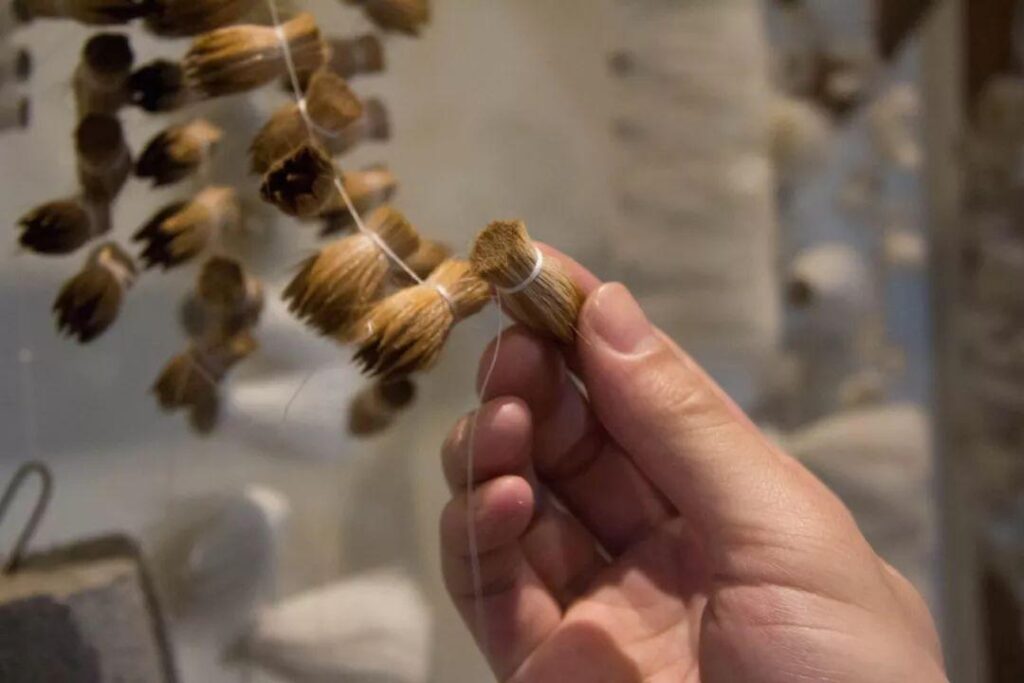 這是捆紮好毛筆的筆頭