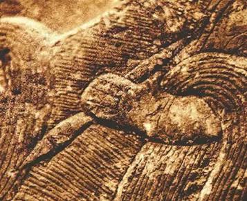 握管式的執筆法