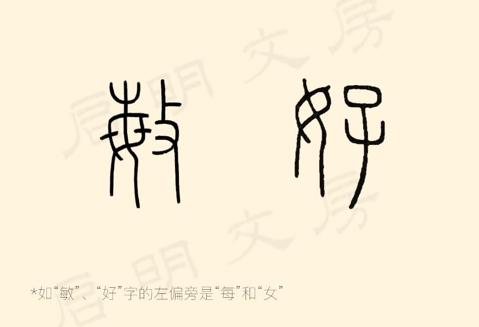 「敏」和「好」的左偏旁其實單獨出來就是「每」和「女」字